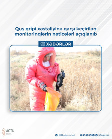 Quş qripi xəstəliyinə qarşı keçirilən monitorinqlərin nəticələri açıqlanıb