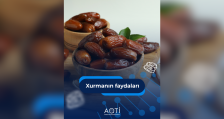 Xurmanın faydaları