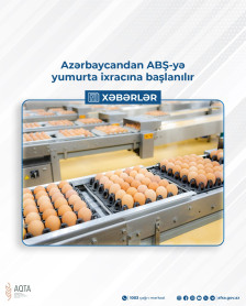 Azərbaycandan ABŞ-yə yumurta ixracına başlanılır