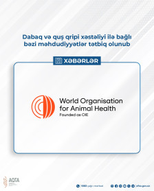 Dabaq və quş qripi xəstəliyi ilə bağlı bəzi məhdudiyyətlər tətbiq olunub