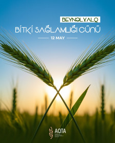 12 May - Beynəlxalq Bitki Sağlamlığı Günüdür