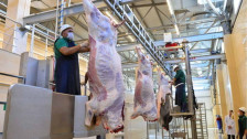 Qurbanlıq heyvanın kəsimi zamanı hansı tələblərə əməl edilməlidir?