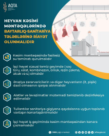 Heyvan kəsimi məntəqələrində hansı qaydalara əməl olunmalıdır?