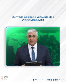 Dünyada epizootik vəziyyətə dair – VİDEOMƏLUMAT