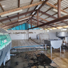 Masallıda süd qəbulu məntəqəsində qida təhlükəsizliyi tələbləri pozuldu