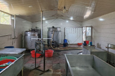 Bərdədə fəaliyyət göstərən pendir sexində nöqsanlar aşkarlanıb