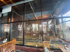 “Kolorit” restoranında heyvanların qanunsuz saxlanıldığı aşkar olunub