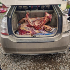 İstehlaka yararsız ət satışının qarşısı alınıb