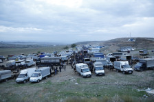 Tovuzdakı heyvan bazarında monitorinqlər keçirilib