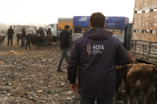 Beyləqan rayonunda yerləşən heyvan bazarında monitorinq aparılıb