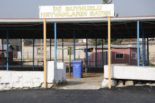 Ölkə üzrə 14 heyvan bazarında rekonstruksiya işləri davam edir - VİDEO