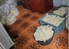 Ağcabədidə qanunsuz fəaliyyət göstərən pendir sexi aşkarlanıb