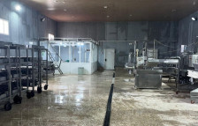 "BFT Cheesella” MMC-yə məxsus süd və süd məhsullarının emalı müəssisəsində yoxlama keçirilib