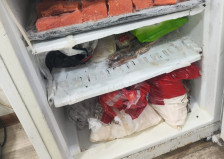 “SushiNano” suşi emalı müəssisəsinin fəaliyyəti müvəqqəti dayandırılıb