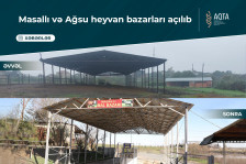 Masallı və Ağsu heyvan bazarları açılıb - VİDEO