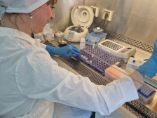 AQTİ-nin mütəxəssisləri Rusiyanın Tver sınaq laboratoriyası ilə tanış olublar