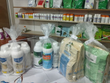 Pestisid və aqrokimyəvi maddələrin dövriyyəsi ilə bağlı 203 obyektdə monitorinq aparılıb