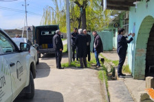 Quba və Xaçmaz rayonlarında Qəhvəyi mərmər bağacığına qarşı monitorinqlər keçirilir