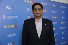 FAO-nun Azərbaycan nümayəndəliyinin rəhbəri “Erkən kəsimə son” kampaniyasına qoşulub