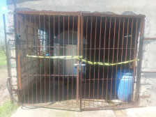 Beyləqanda süd qəbulu məntəqəsində yoxlama aparılıb