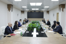 Qida sektorunda sahibkarlığa dövlət dəstəyi artırılır