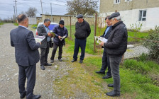 Qəhvəyi mərmər bağacığına qarşı maarifləndirmə tədbirləri davam edir