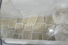 Nərimanovda dondurulmuş yarımfabrikatların emalı müəssisəsində yoxlama keçirilib
