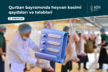 Qurban bayramında heyvan kəsimi qaydaları və tələbləri