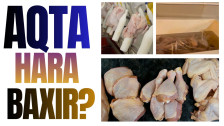 “AQTA hara baxır?” – Qanunsuz quş kəsimi sexində reyd