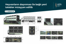 Heyvanların daşınması ilə bağlı yeni tələblər müəyyən edilib