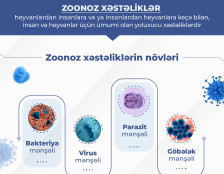 Zoonoz xəstəliklər – insan və heyvan sağlamlığı üçün təhlükə