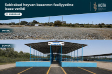 Sabirabad heyvan satışı bazarı fəaliyyətə başlayıb- VİDEO