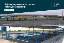 Ağdaş heyvan satışı bazarı fəaliyyətə başlayıb