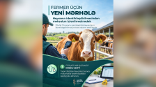 Fermer üçün yeni mərhələ: heyvanın identikləşdirilməsindən  məhsulun izlənilməsinədək