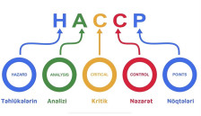 Kritik Nəzarət Nöqtəsi (CCP) nədir?