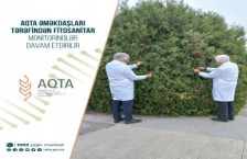 AQTA əməkdaşları tərəfindən fitosanitar monitorinqlər davam etdirilir