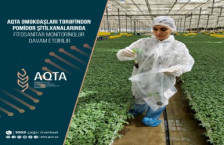 AQTA əməkdaşları tərəfindən pomidor şitilxanalarında fitosanitar monitorinqlər davam etdirilir