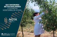 Qax rayonunda meyvə bağlarında fitosanitar monitorinqlər aparılıb