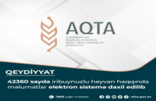 42360 sayda iribuynuzlu heyvan haqqında məlumatlar elektron sistemə daxil edilib