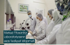 AQTİ-nin Mərkəzi Fitosanitar Laboratoriyası ölkə ərazisində fitosanitar sabitliyin təmin edilməsində mühüm rol oynayır