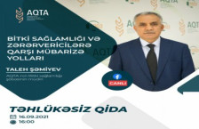 Bitki sağlamlığı və zərərvericilərə qarşı mübarizə yolları müzakirə olunacaq