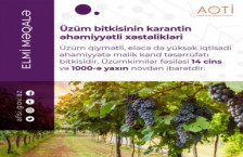 Üzüm bitkisinin karantin əhəmiyyətli xəstəlikləri