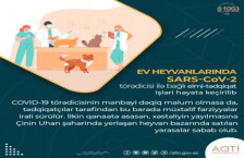 Ev heyvanlarında SARS-CoV-2 törədicisi ilə bağlı elmi-tədqiqat işləri həyata keçirilib