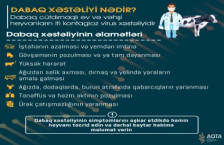 Dabaq xəstəliyi ilə bağlı nələri bilməliyik?