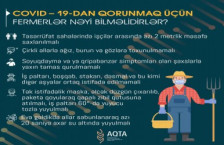 COVID-19 - dan qorunmaq üçün fermerlər nəyi bilməlidir?