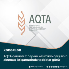 AQTA qanunsuz heyvan kəsiminin qarşısının alınması istiqamətində tədbirlər görür