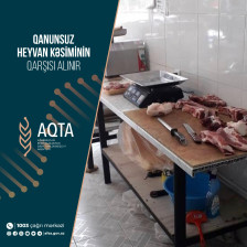 Qanunsuz heyvan kəsiminin qarşısı alınır