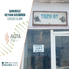 Qanunsuz heyvan kəsiminin qarşısı alınır