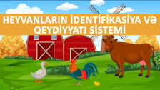 Heyvanların qeydiyyata alınması nə üçün zəruridir?