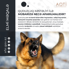 Quduzluq xəstəliyi ilə mübarizə necə aparılmalıdır?